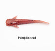 Pumpkin Seed