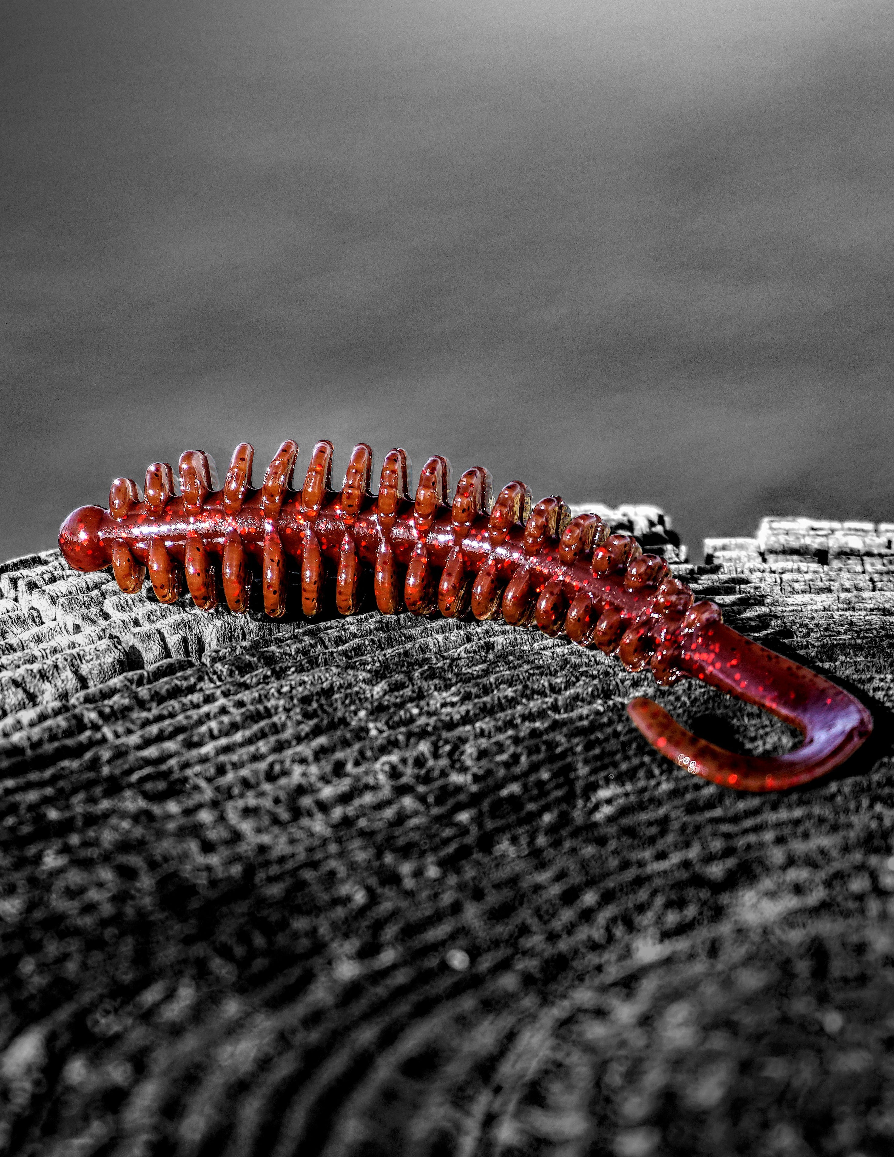Zipper 4" Jr.